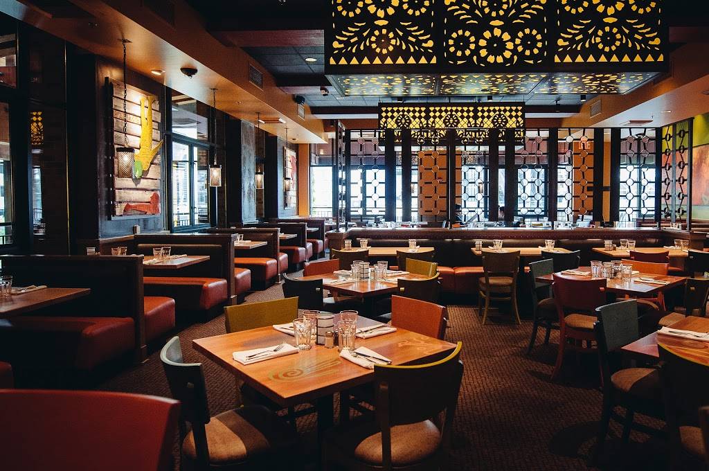 Cactus Bellevue Square | restaurant | 535 Bellevue Square, Bellevue, WA 98004, USA | 4254554321 OR +1 425-455-4321