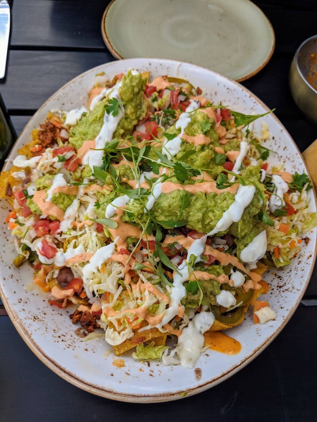 Burro Bar Brookline | restaurant | 1665 Beacon St, Brookline, MA 02445, USA | 6172770427 OR +1 617-277-0427