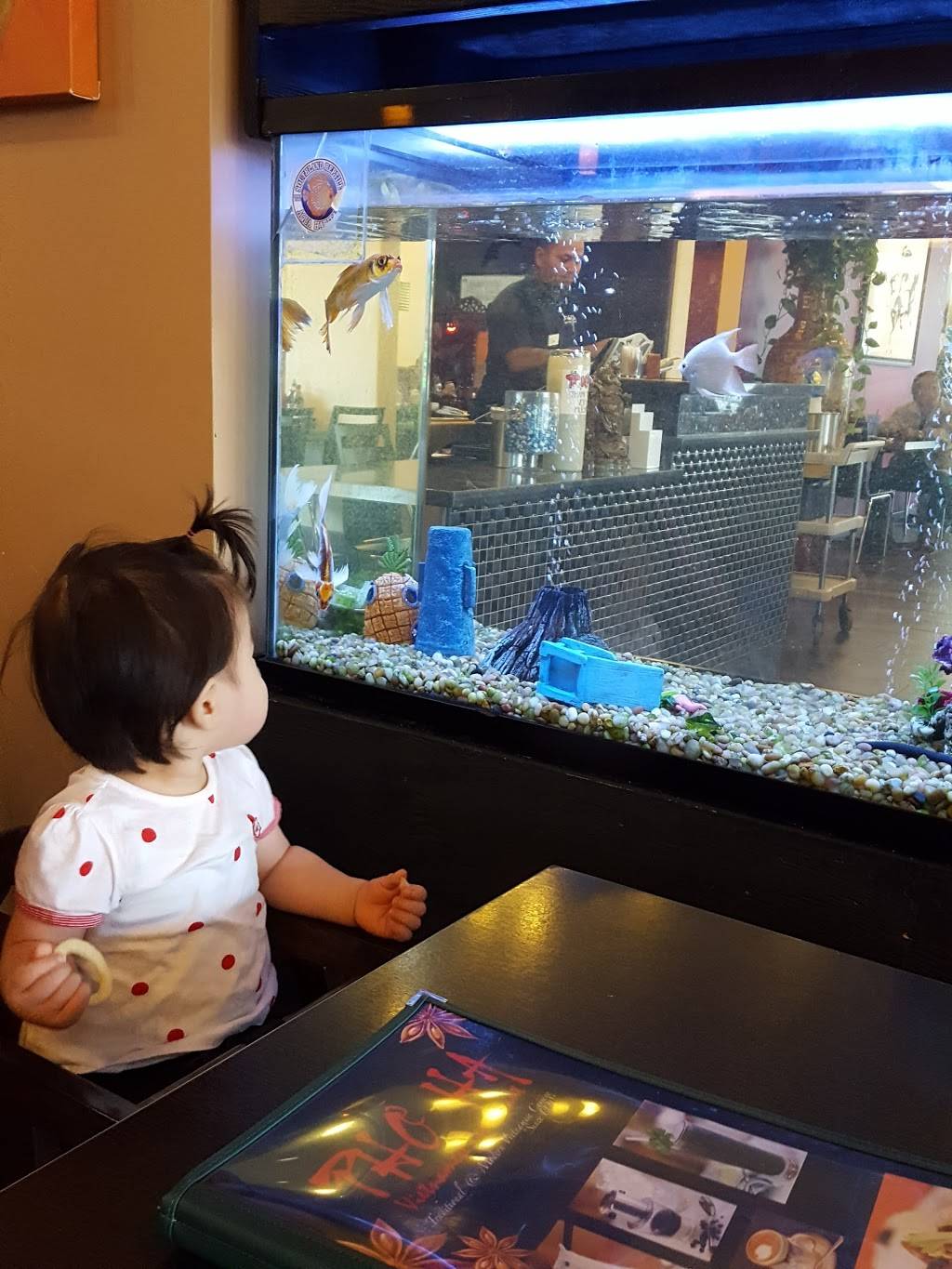 A Mi Hacienda | restaurant | 4711 Mission Blvd, Montclair, CA 91763, USA | 9096286764 OR +1 909-628-6764