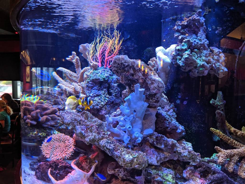 Tepanyaki | restaurant | 72 N 850 E, Lehi, UT 84043, USA | 8016532988 OR +1 801-653-2988