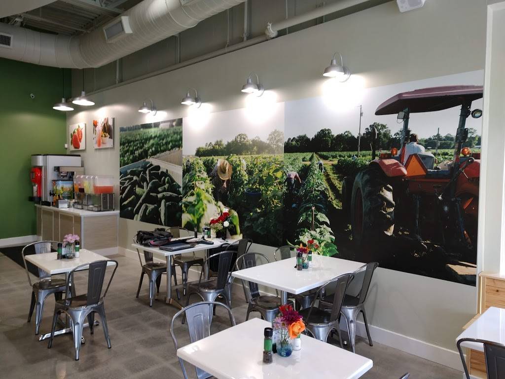 The Salad Station | restaurant | 13811 W Hillsborough Ave, Tampa, FL 33635, USA | 8134254400 OR +1 813-425-4400