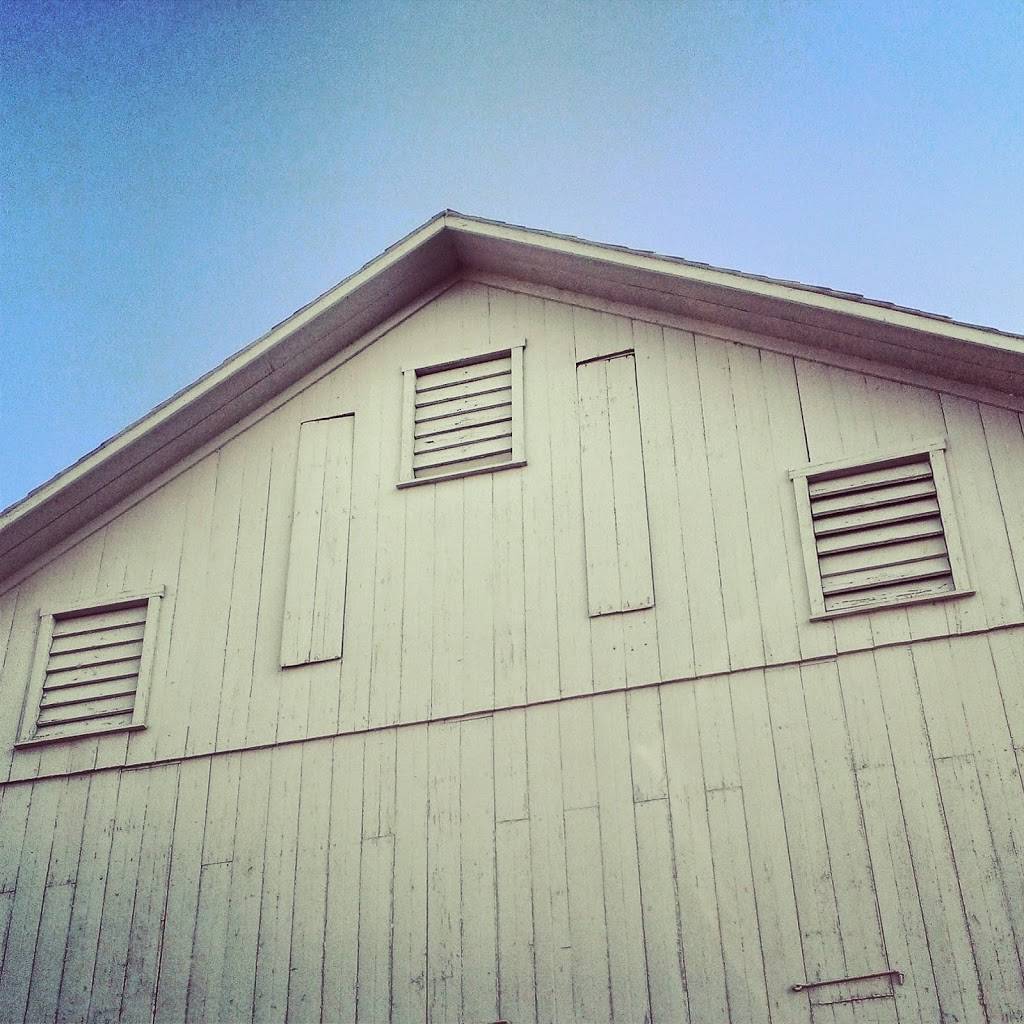 The Scarlet Runner | meal takeaway | 3640, 2467 A, Lititz Pike, Lancaster, PA 17601, USA | 7172087607 OR +1 717-208-7607