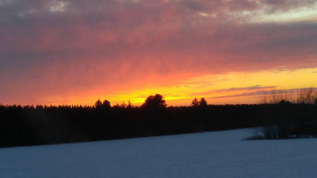 Zs Fork Horners | restaurant | N4291 Co Rd X, Gleason, WI 54435, USA | 7158734538 OR +1 715-873-4538