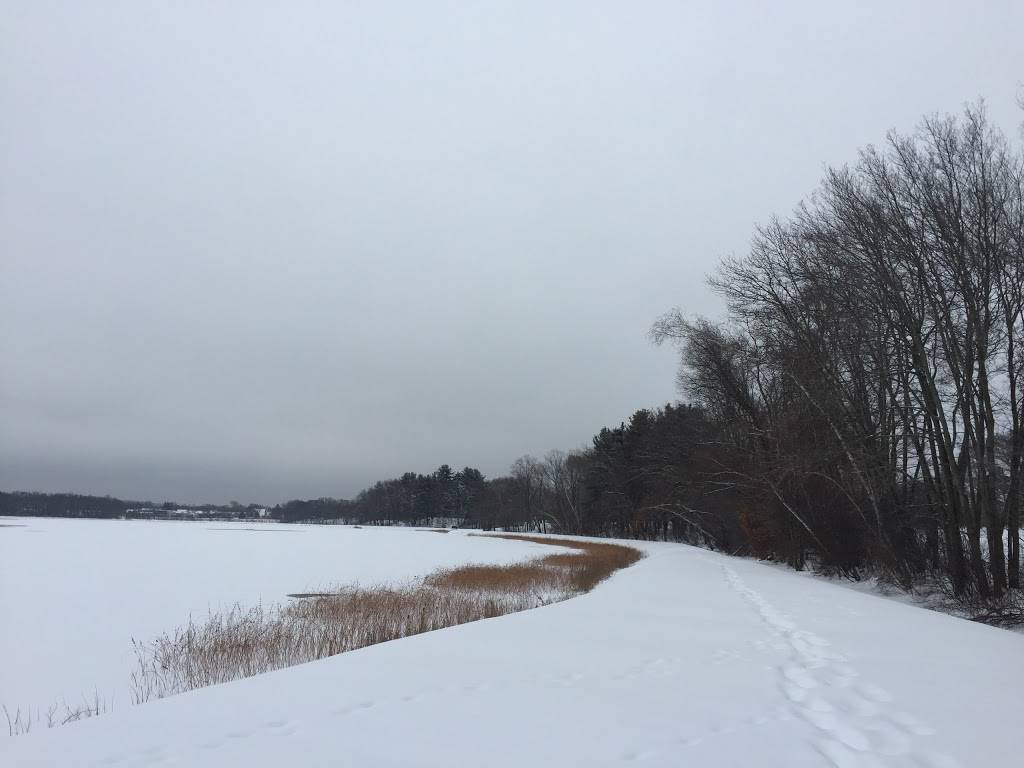 Foodie Café Catering | cafe | 10 Pearl St, Framingham, MA 01702, USA | 5083097349 OR +1 508-309-7349