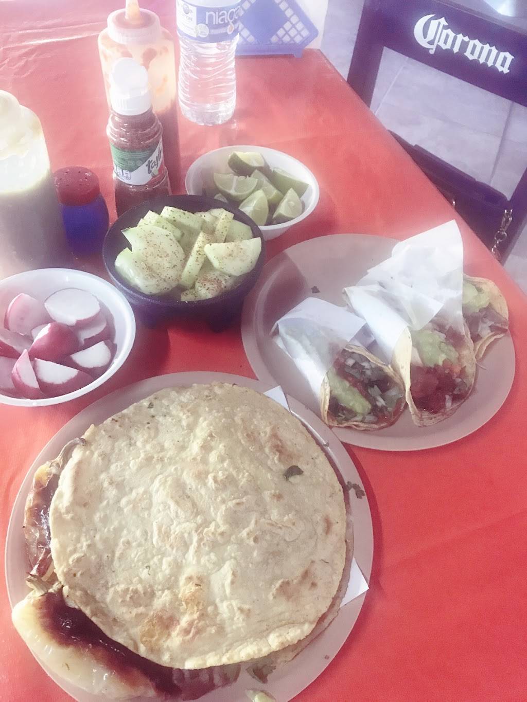 Los Pinches Tacos | restaurant | El Cortez, 22190 Tijuana, B.C., Mexico | 016641543115 OR +52 664 154 3115