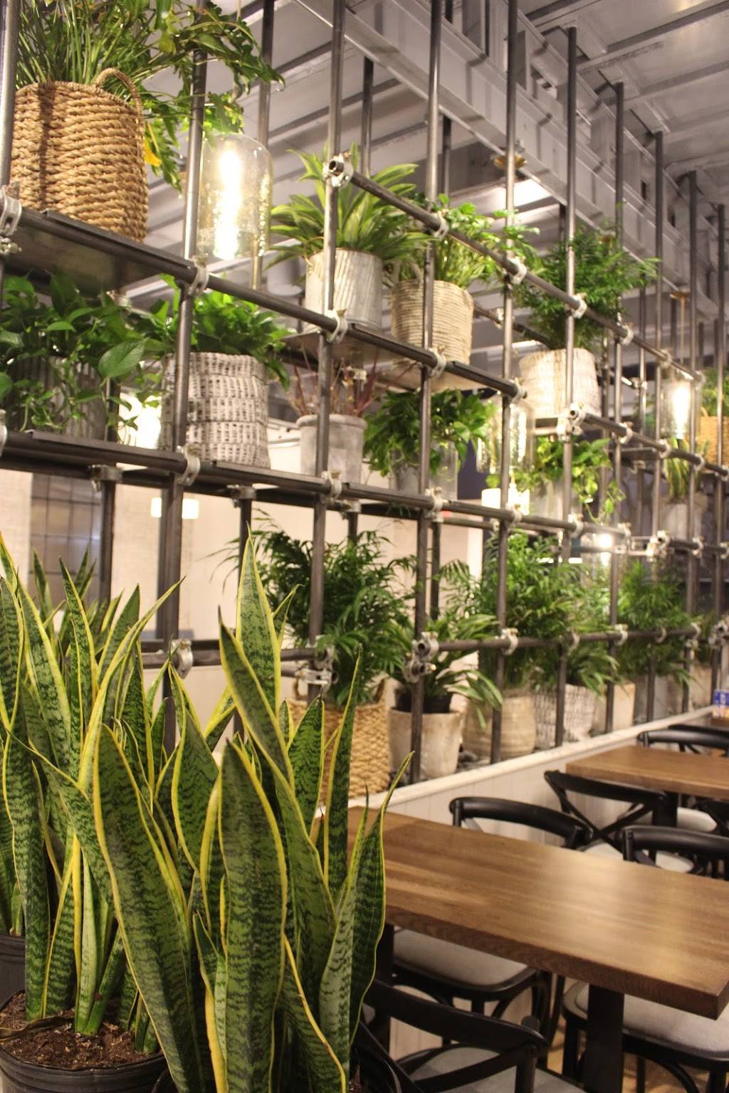 Spirit Elephant | restaurant | 924 Green Bay Rd, Winnetka, IL 60093, USA | 8473489000 OR +1 847-348-9000