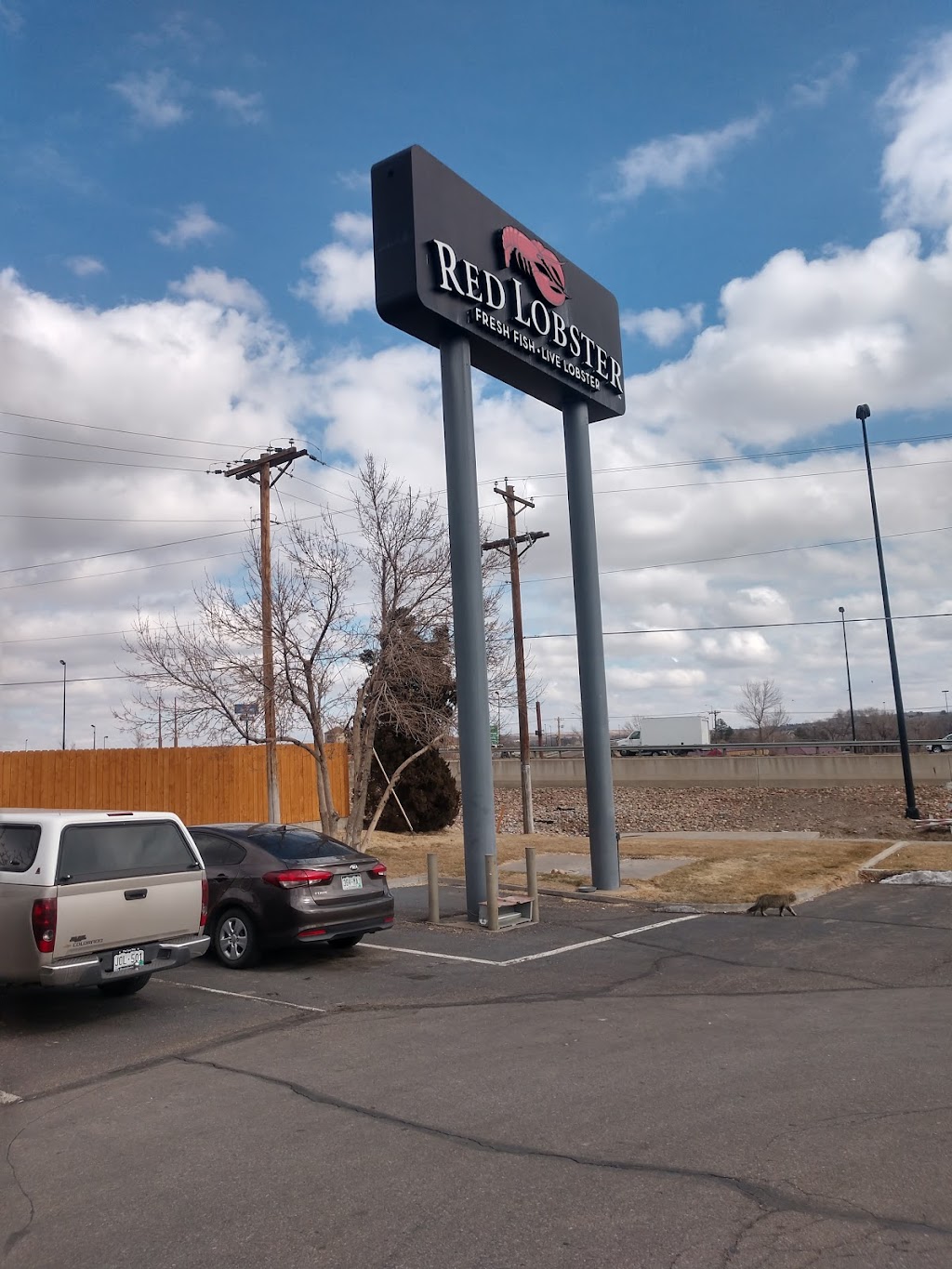 Red Lobster | restaurant | 3306 N Elizabeth St, Pueblo, CO 81008, USA | 7195441000 OR +1 719-544-1000