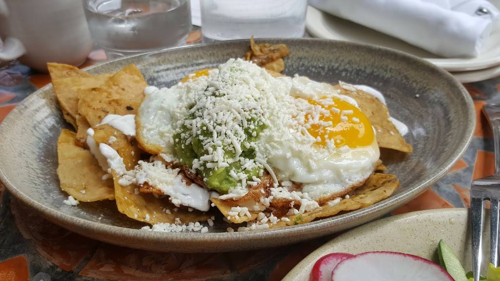 Flores | restaurant | 2030 Union St, San Francisco, CA 94123, USA | 4157962926 OR +1 415-796-2926