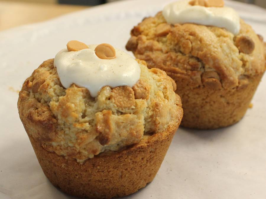 Fresh Start Cafe Breakfast & Lunch | restaurant | 630 S Orange Ave, Sarasota, FL 34236, USA | 9413731242 OR +1 941-373-1242