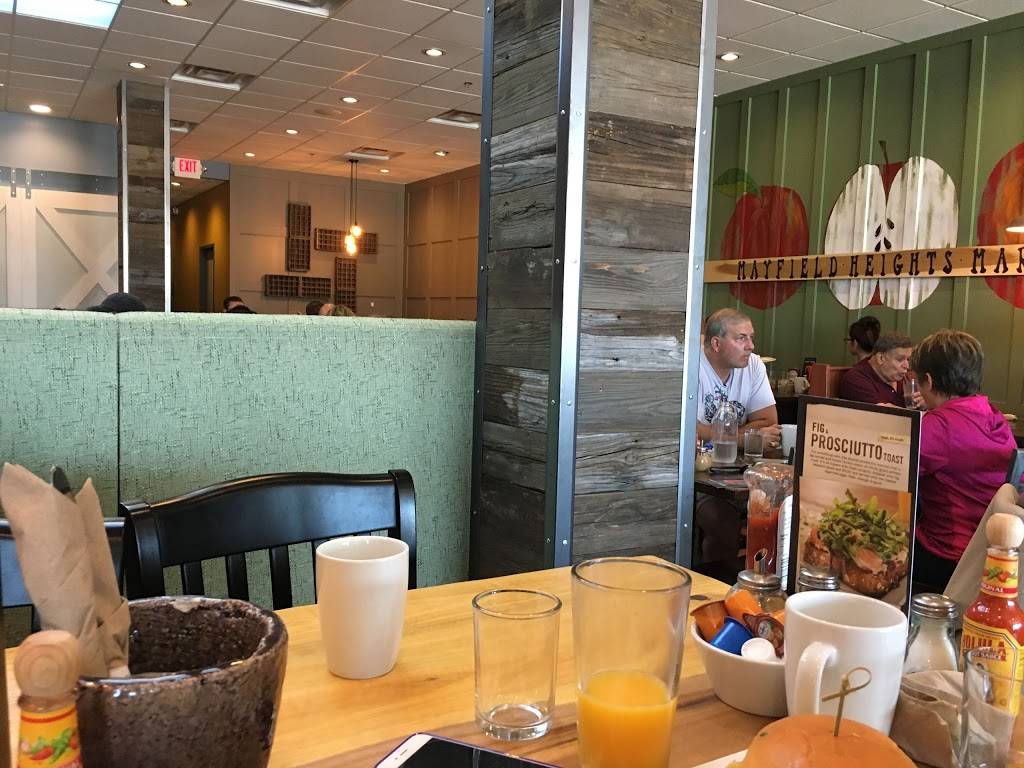 First Watch - Mayfield Heights | restaurant | 1431 Som Center Rd, Mayfield Heights, OH 44124, USA | 4406841825 OR +1 440-684-1825