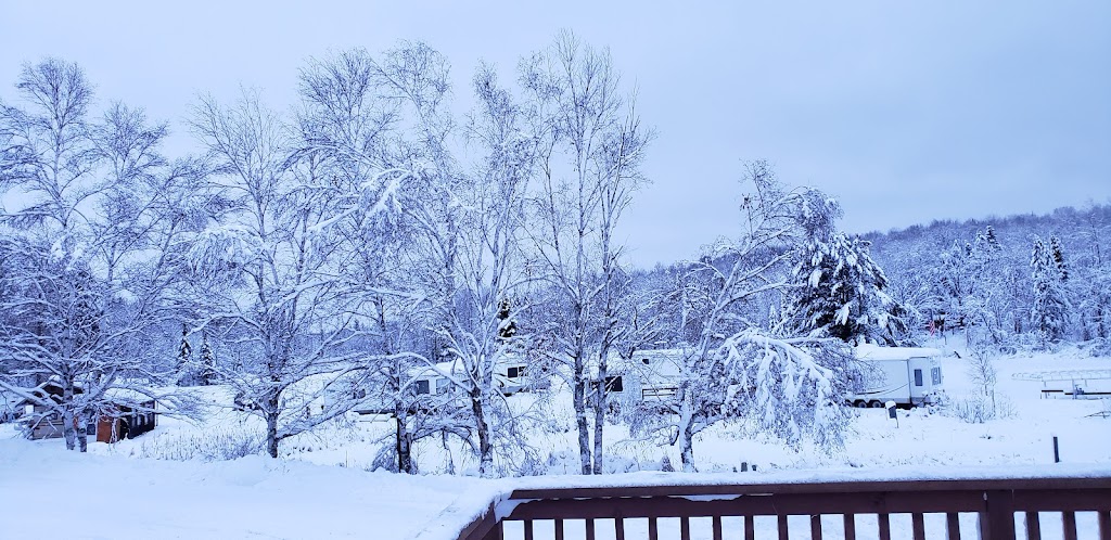 The Rustic Lodge | restaurant | N5354 Lake Winter Rd S, Winter, WI 54896, USA | 7152662171 OR +1 715-266-2171