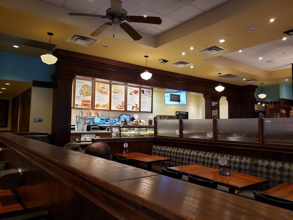 Corner Bakery Cafe | bakery | 823 Goucher Blvd, Towson, MD 21286, USA | 4432797377 OR +1 443-279-7377