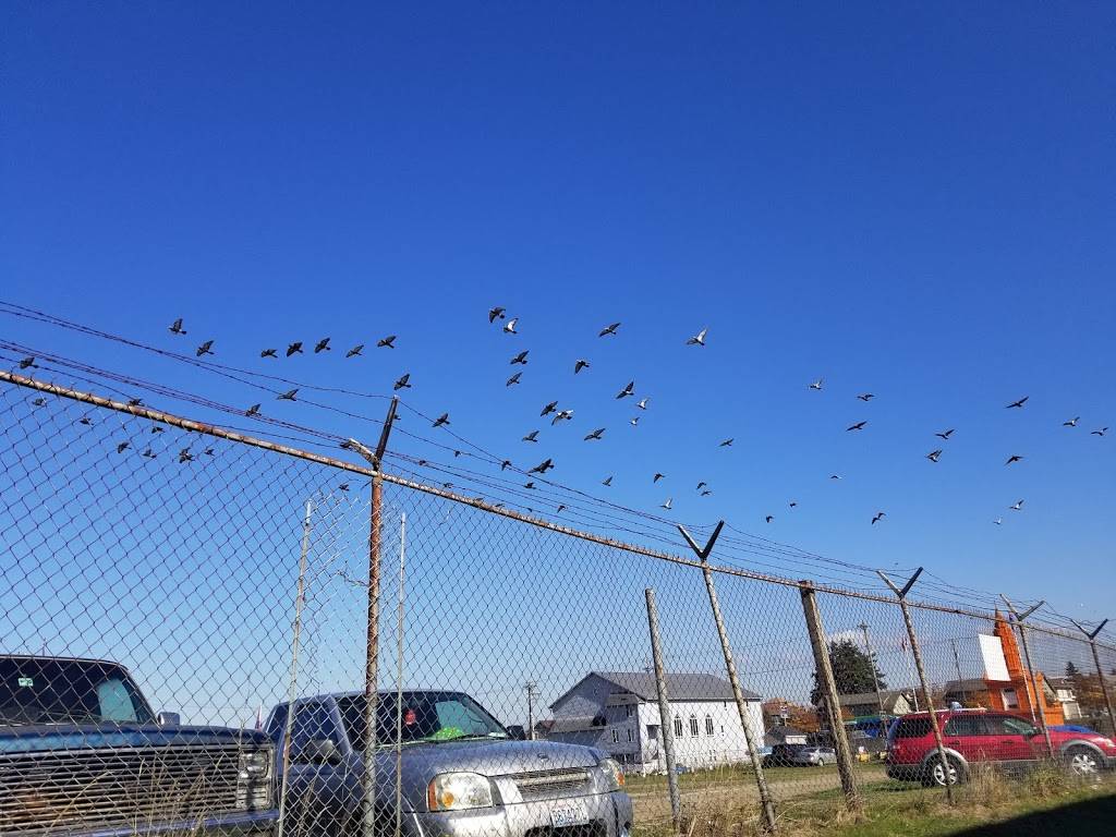 El Gallo De Oro | restaurant | 3201 Portland Ave E, Tacoma, WA 98404, USA | 2533838095 OR +1 253-383-8095