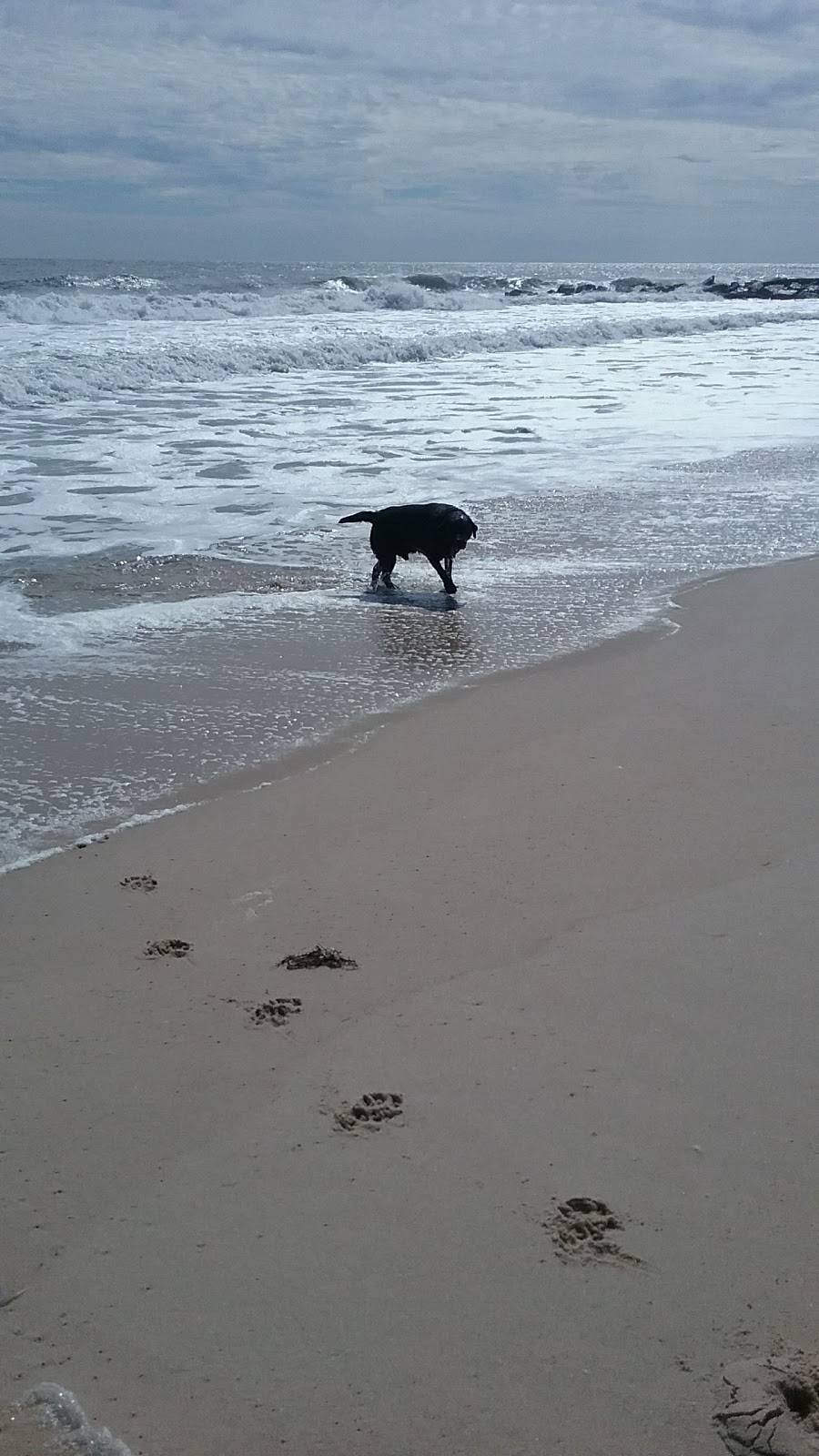 Playa Bowls | restaurant | 68 Bridge Ave, Bay Head, NJ 08742, USA | 8482323947 OR +1 848-232-3947