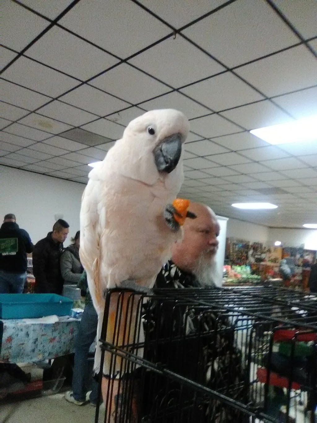 VFW Day Post 7591 | restaurant | 301 Cottage Grove Rd, Madison, WI 53716, USA | 6082219326 OR +1 608-221-9326