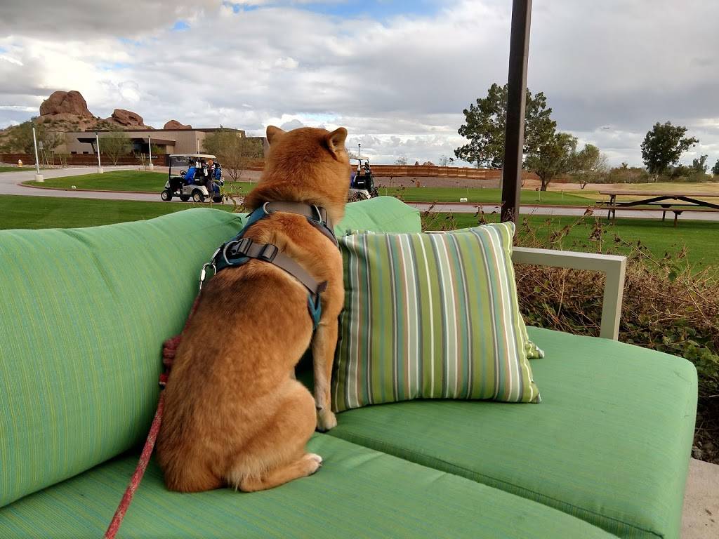 Lous Bar and Grill - Papago Golf Course | restaurant | 5595 E Moreland St, Phoenix, AZ 85008, USA | 6023587004 OR +1 602-358-7004