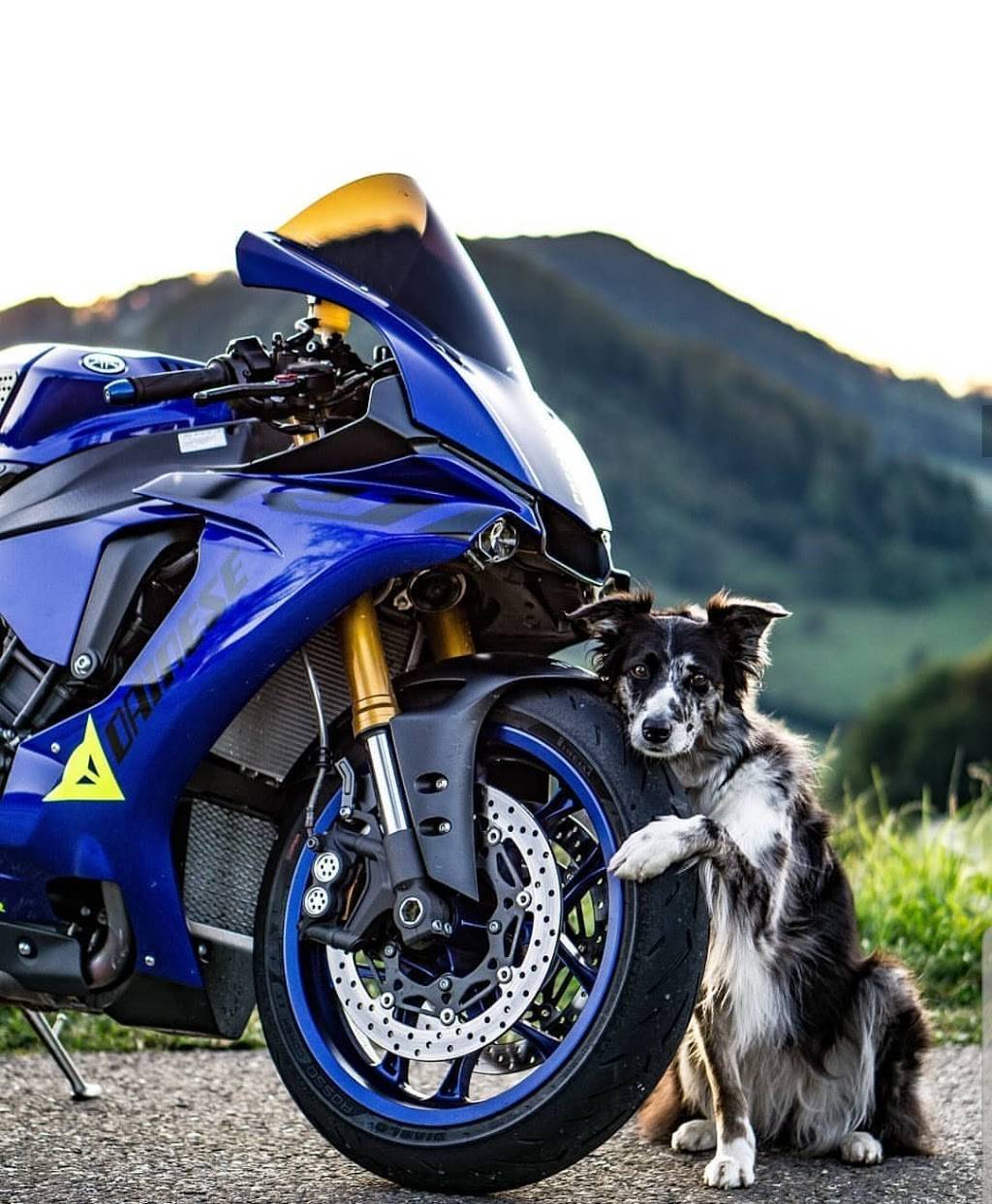 Robs Restaurant & Lounge | restaurant | 5308 Dayton Blvd, Chattanooga, TN 37415, USA | 4238756164 OR +1 423-875-6164