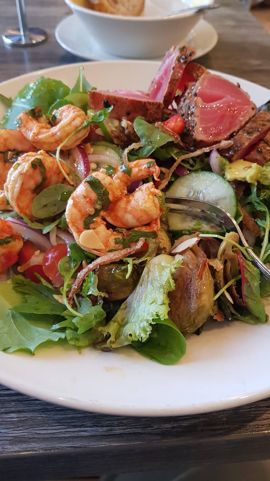 Sprout Café | restaurant | 168 University Ave, Palo Alto, CA 94301, USA | 6503237688 OR +1 650-323-7688