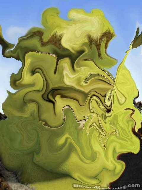 Lake Nepessing Golfland | restaurant | 1125 Lake Nepessing Rd, Lapeer, MI 48446, USA | 8106643514 OR +1 810-664-3514