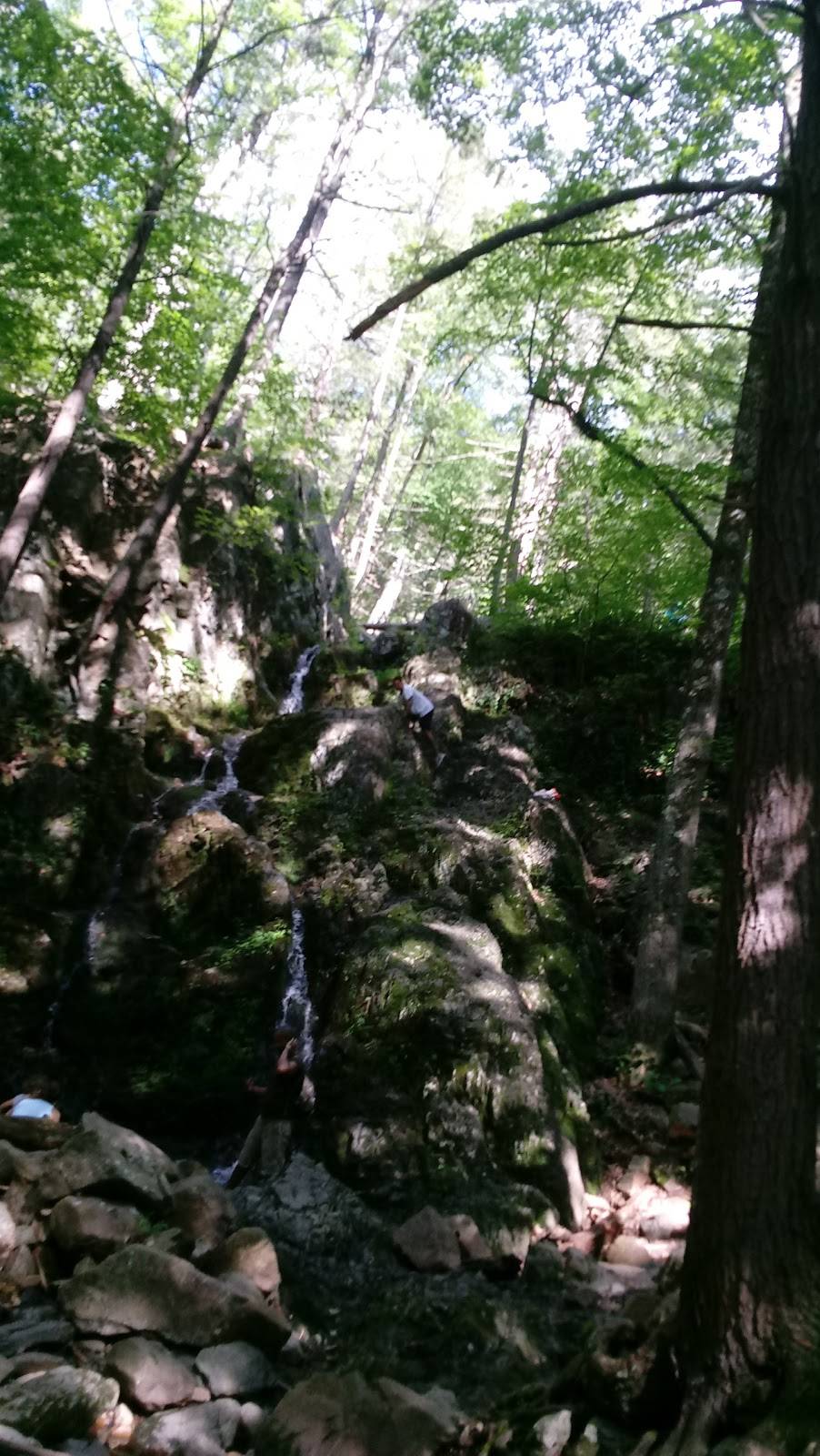 Cooking Cleverley | restaurant | 484 Bellvale Rd, Chester, NY 10918, USA | 8454694037 OR +1 845-469-4037