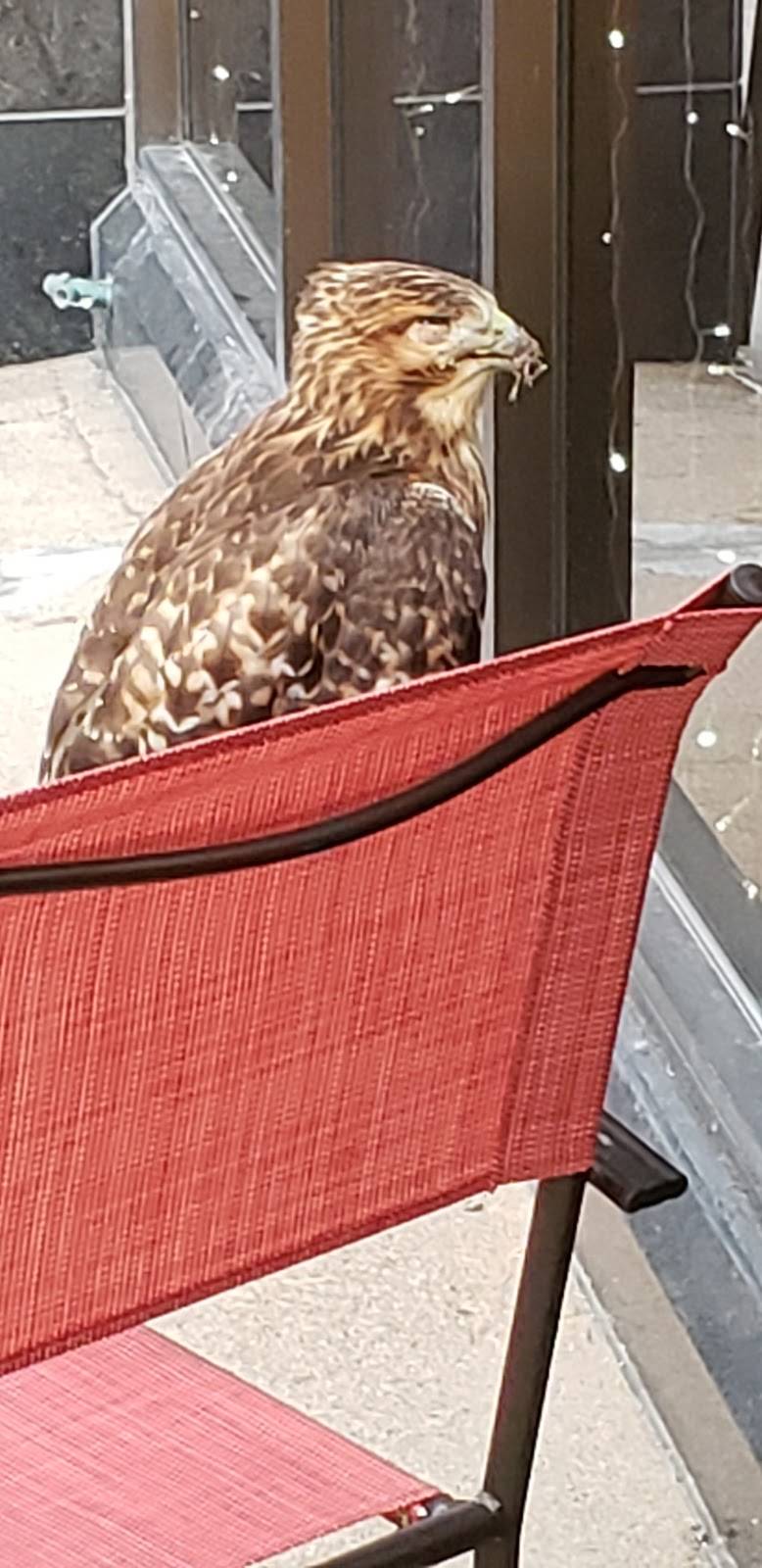 The Verdict Bar & Grill | restaurant | 1901 Harney St, Omaha, NE 68102, USA | 4029998336 OR +1 402-999-8336