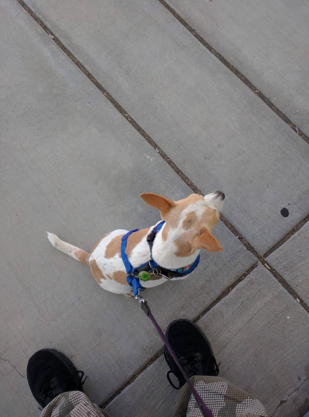 Subway Restaurants | restaurant | 4050 Redwood Hwy, San Rafael, CA 94903, USA | 4154990802 OR +1 415-499-0802