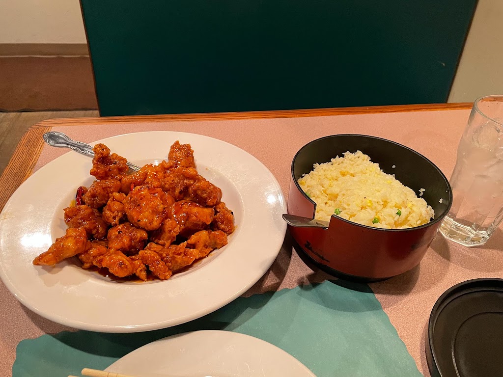 Great Wall Restaurant | restaurant | 315 E North St, Rapid City, SD 57701, USA | 6053481060 OR +1 605-348-1060