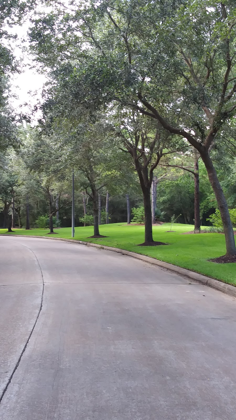 Shell | restaurant | 7745 S Sam Houston Pkwy E, Houston, TX 77075, USA | 7139916789 OR +1 713-991-6789