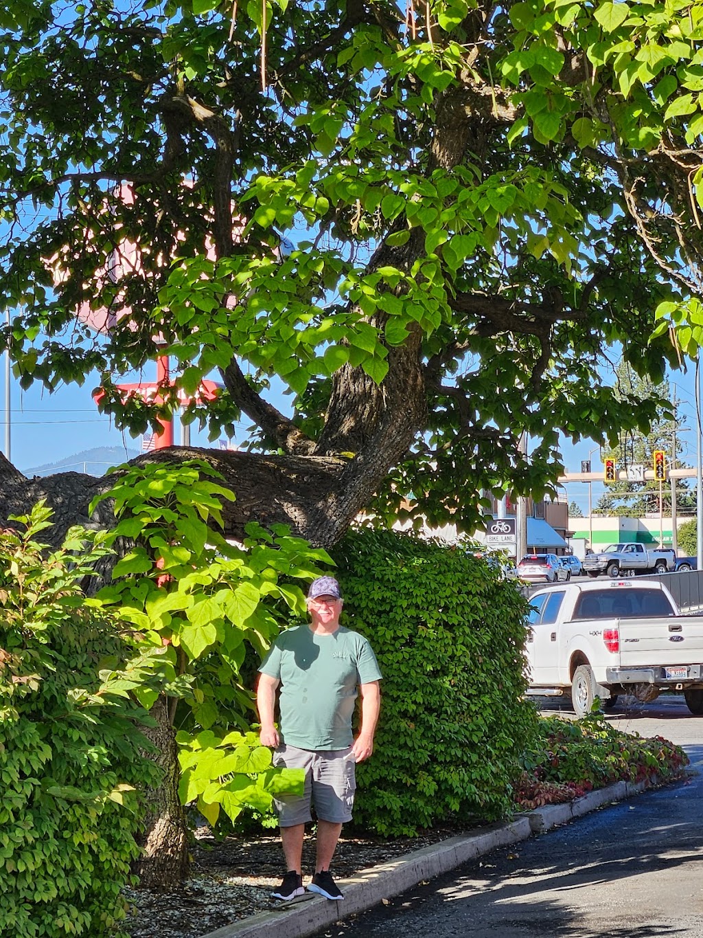 Giorgis/OMaleys | restaurant | 155 W Neider Ave, Coeur dAlene, ID 83815, USA | 2084160239 OR +1 208-416-0239