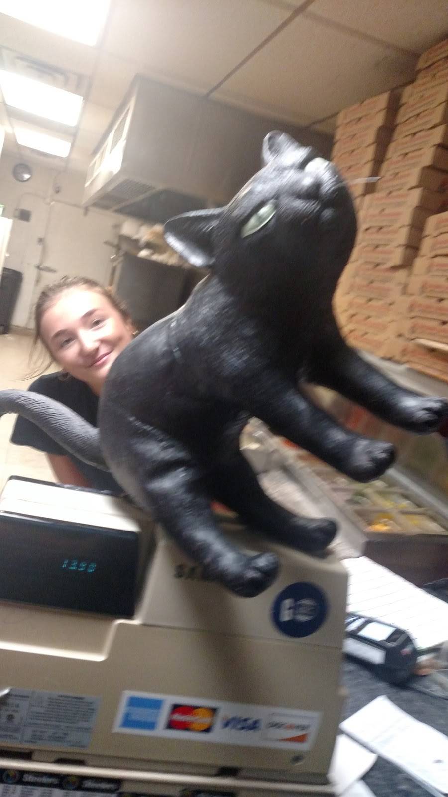 Italian Village Pizza | restaurant | 580 Old Clairton Rd, Pittsburgh, PA 15236, USA | 4126504001 OR +1 412-650-4001