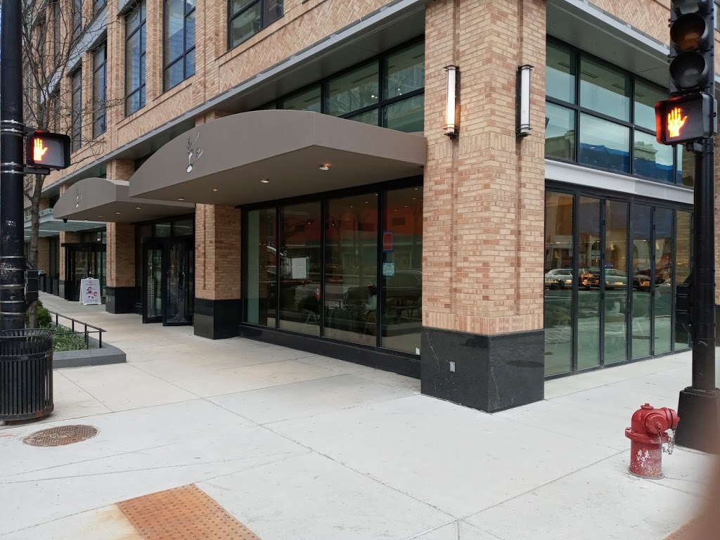 Apolonia | restaurant | 2201 S Michigan Ave, Chicago, IL 60616, USA | 3123632431 OR +1 312-363-2431