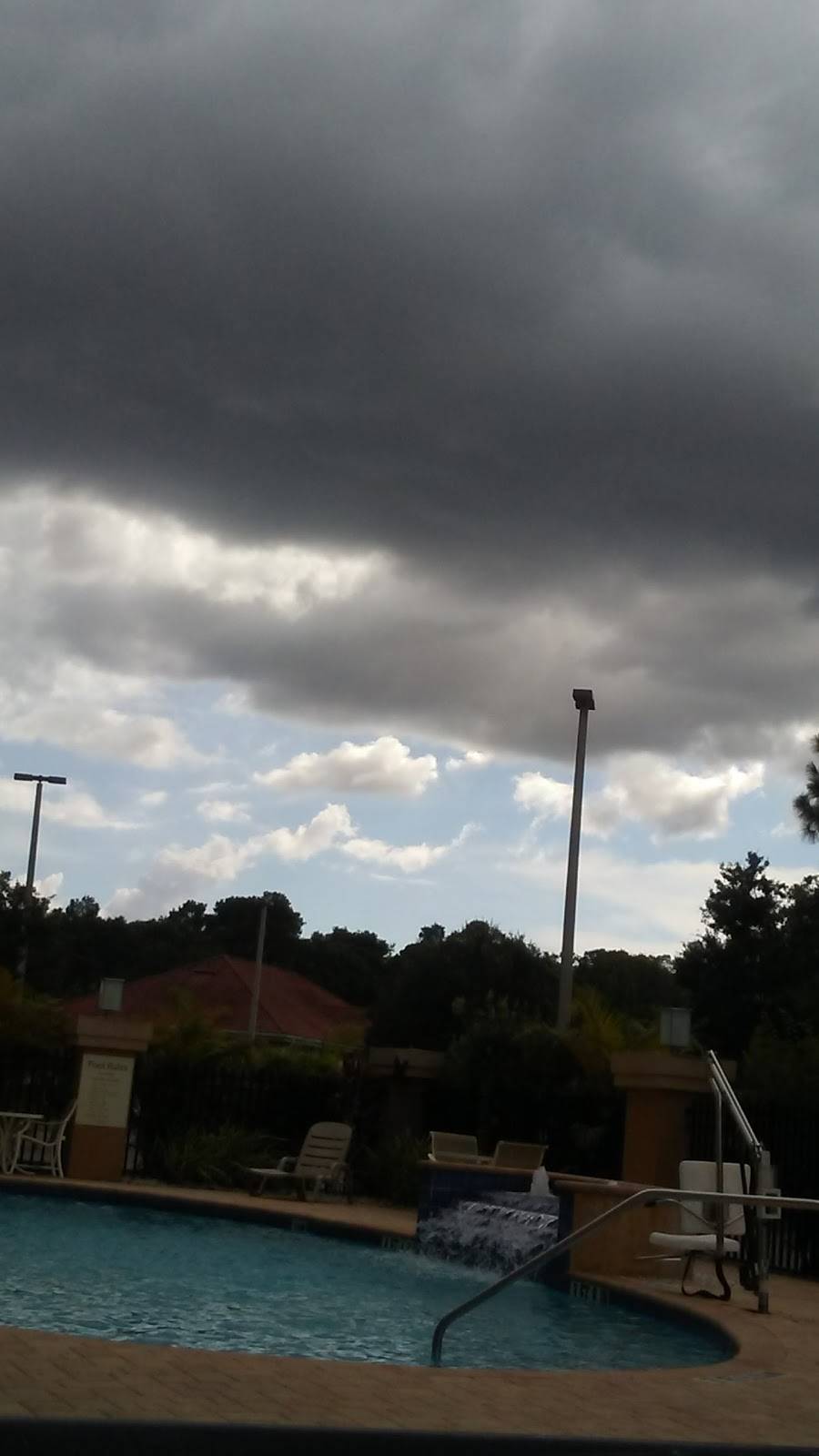 Top China | meal takeaway | 13306 Telecom Dr, Temple Terrace, FL 33637, USA | 8139724308 OR +1 813-972-4308