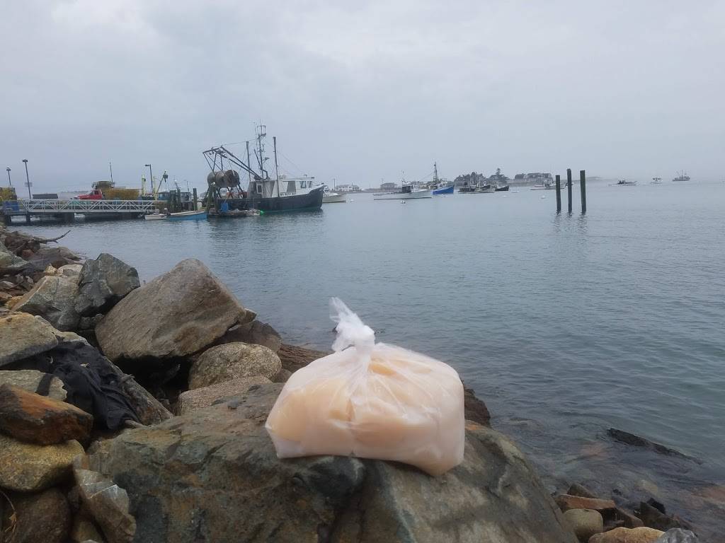 Rye Harbor Lobster | restaurant | 1870 Ocean Blvd, Rye, NH 03870, USA | 6039647845 OR +1 603-964-7845