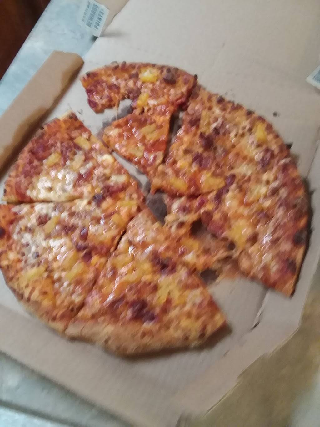 Dominos Pizza | meal delivery | 17565 Highway 65 NE, Ham Lake, MN 55304, USA | 7634344300 OR +1 763-434-4300