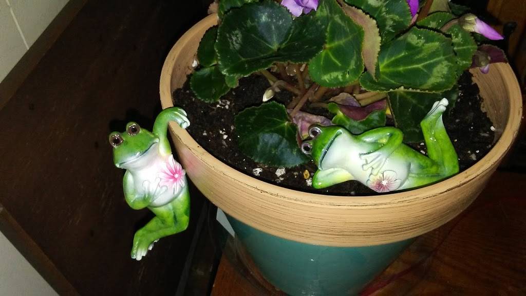 Alfanos Pizzeria | restaurant | 737 W Norris Dr, Ottawa, IL 61350, USA | 8154340923 OR +1 815-434-0923