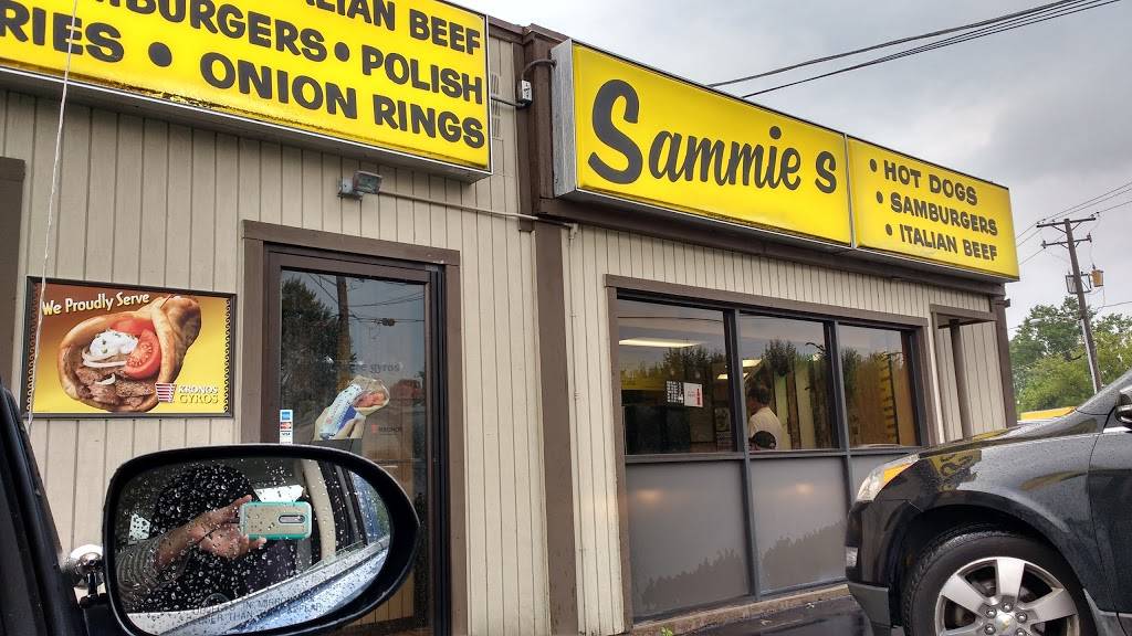 Sammies Grayslake | meal takeaway | 799 E Belvidere Rd, Grayslake, IL 60030, USA | 8472234663 OR +1 847-223-4663
