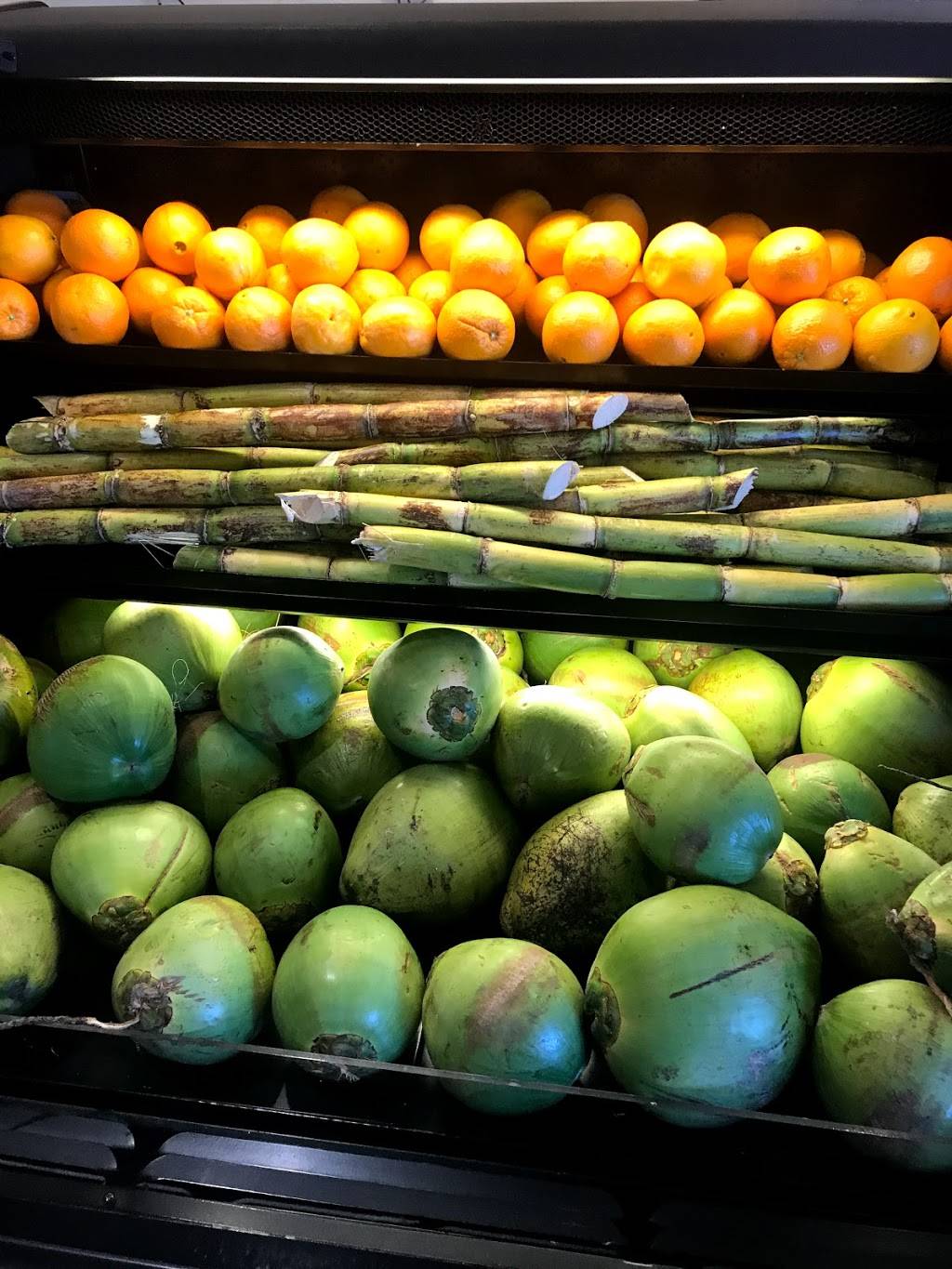 Kwality Fusion | restaurant | 2025 E Fowler Ave, Tampa, FL 33612, USA | 8135424000 OR +1 813-542-4000