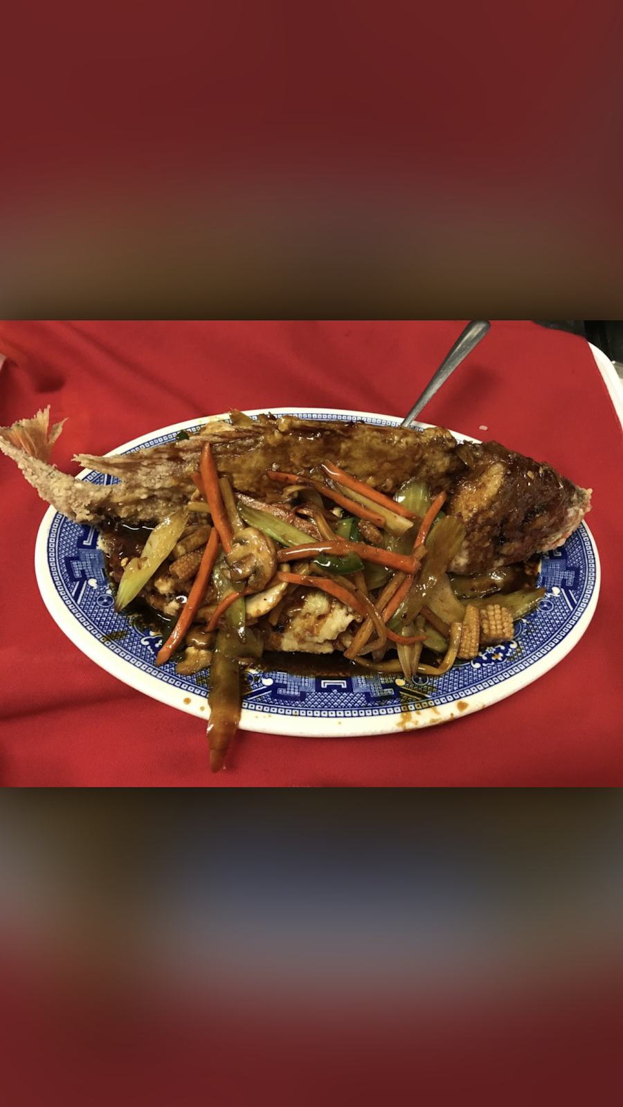 Lily Garden Chinese Restaurant | restaurant | 6558 FL-7, Coconut Creek, FL 33073, USA | 9544281818 OR +1 954-428-1818