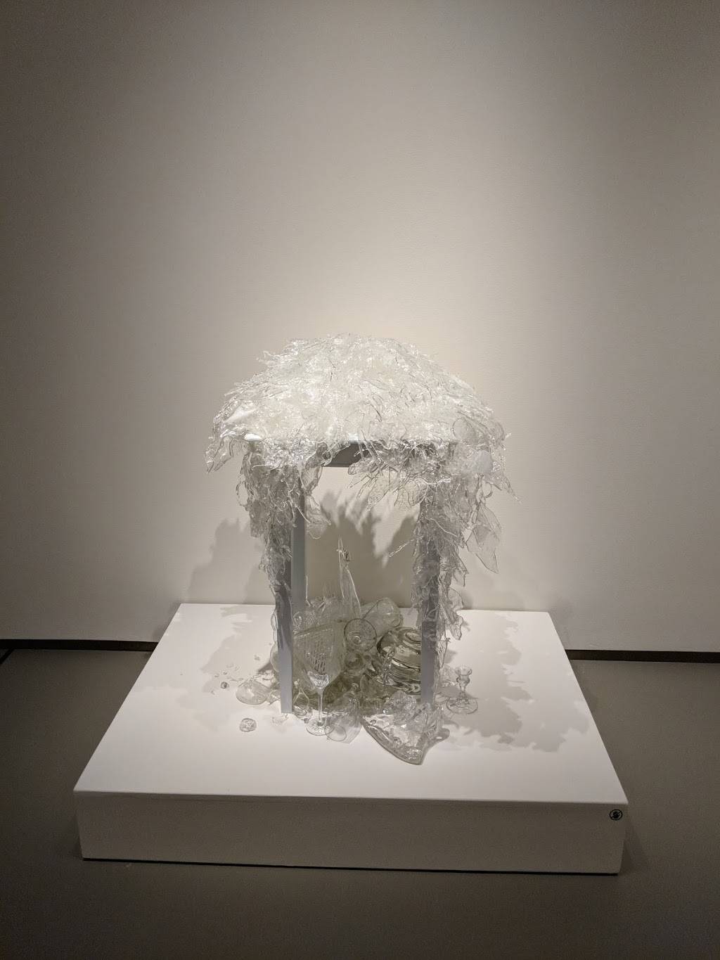 Museum Of Contemporary Art Jacksonville | restaurant | 333 N Laura St, Jacksonville, FL 32202, USA | 9043666911 OR +1 904-366-6911