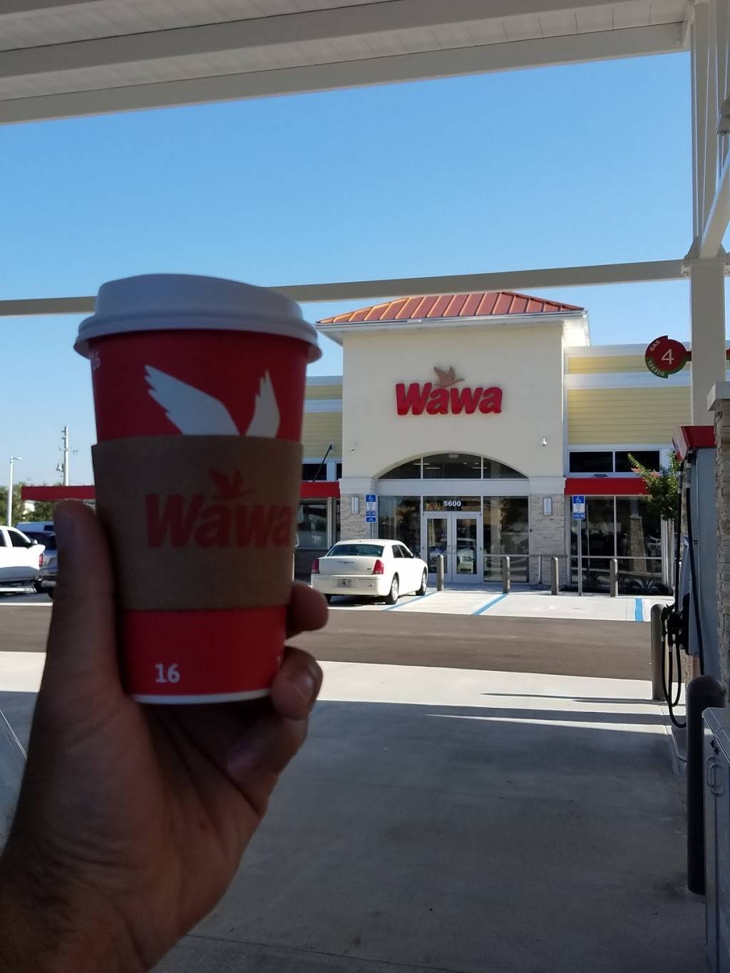 Wawa | cafe | 5600 FL-100 East, Palm Coast, FL 32164, USA | 3863614822 OR +1 386-361-4822