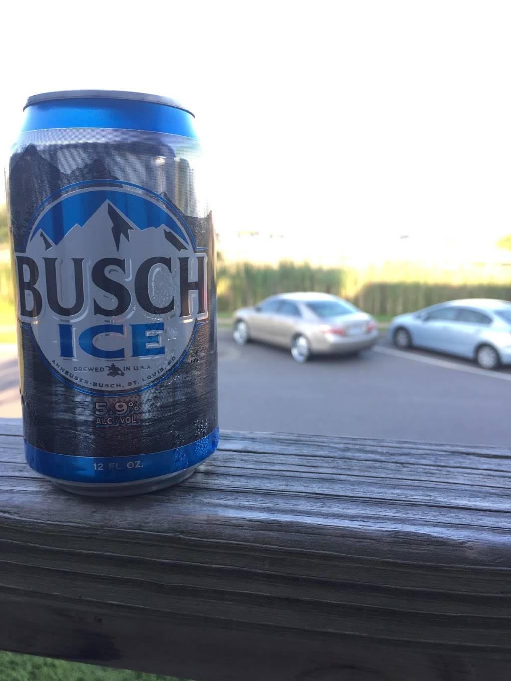 Top China | restaurant | 218 US-64, Manteo, NC 27954, USA | 2524736660 OR +1 252-473-6660