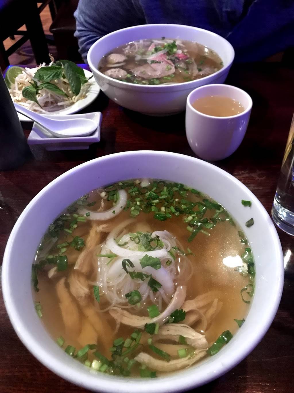 Mekong Grill | restaurant | 24 Chestnut St, Ridgewood, NJ 07450, USA | 2014450011 OR +1 201-445-0011