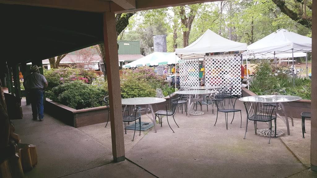 Annies At Lake Francis | restaurant | Dobbins, CA 95935, USA | 5306928919 OR +1 530-692-8919