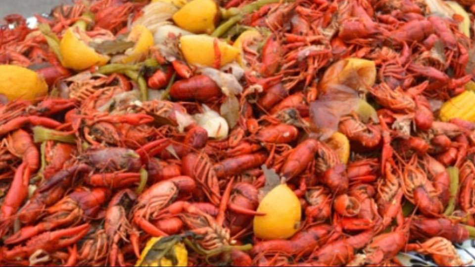 Biggins BBQ | restaurant | 201 E Sagefield Dr, Smyrna, TN 37167, USA | 6154275436 OR +1 615-427-5436