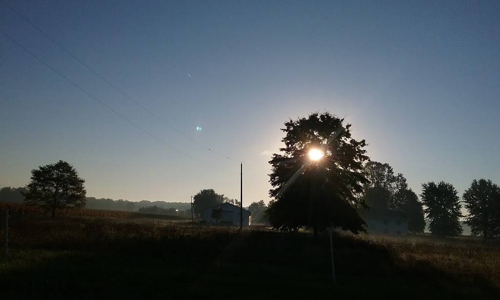 Burbach Concessions | restaurant | 6850 OH-534, West Farmington, OH 44491, USA | 3308892171 OR +1 330-889-2171