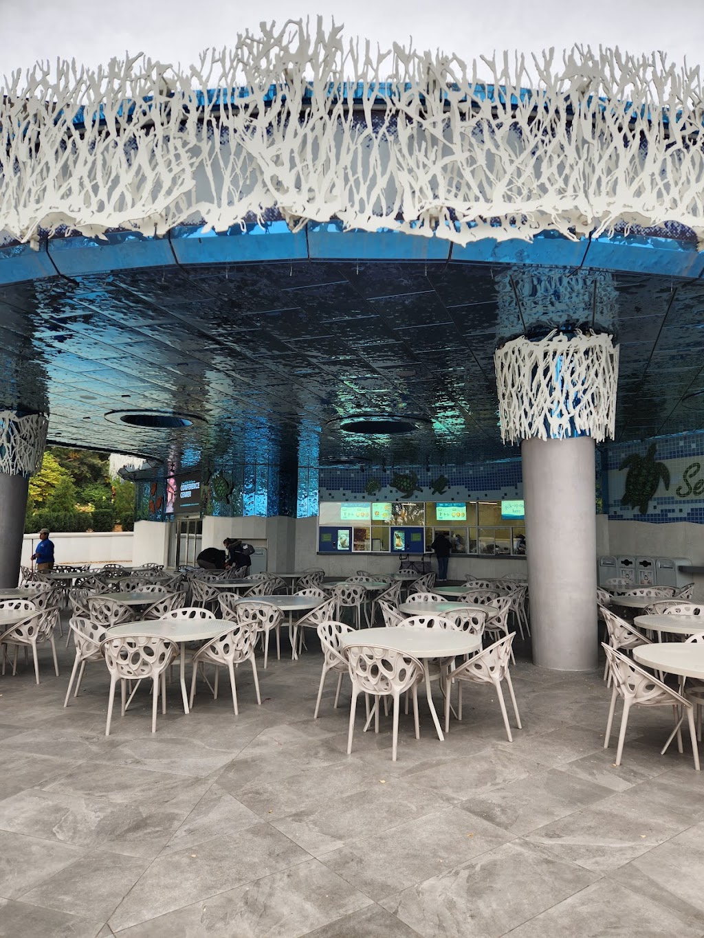 Sea Turtle Café | restaurant | 3701 S 10th St, Omaha, NE 68108, USA | 4027338400 OR +1 402-733-8400