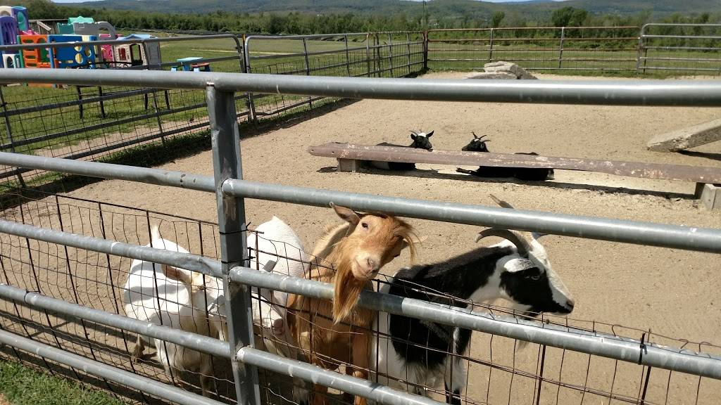 Westview Farms Creamery | restaurant | 111 E Hill Rd, Monson, MA 01057, USA | 4132675355 OR +1 413-267-5355