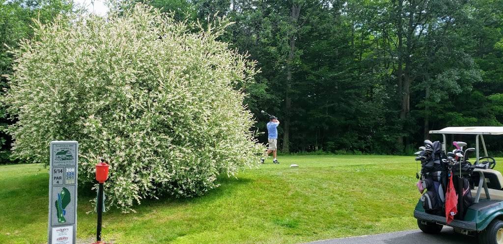 J W Parks Golf Course | restaurant | 382 Hartland Ave, Pittsfield, ME 04967, USA | 2074875545 OR +1 207-487-5545