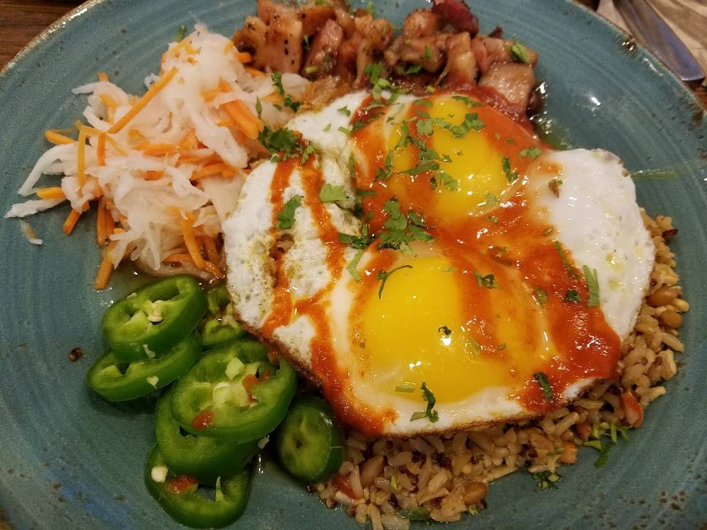 First Watch - Wesley Chapel | restaurant | 1648 Bruce B Downs Blvd, Wesley Chapel, FL 33543, USA | 8139293947 OR +1 813-929-3947