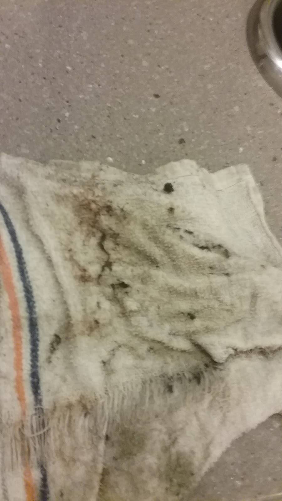 American Deli | restaurant | 2860 Cumberland Mall Suite #1312, Atlanta, GA 30339, USA | 7704353444 OR +1 770-435-3444